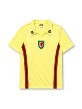 Wales 1976-79 away jersey in yellow with green and red side stripes and dual shoulder badges