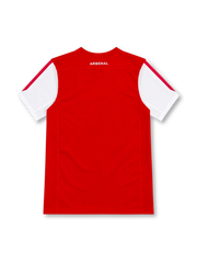 Arsenal 2011/12 red home jersey with white sleeves, white Nike Swoosh, Fly Emirates sponsor, and special 125th-anniversary laurel crest.
