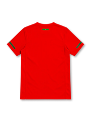 Portugal 2010 red Nike home jersey with a textured green horizontal chest band, white Nike Swoosh, Portuguese Football Federation crest, green sleeve accents, Dri-FIT lettering, and black Authentic-style hem label.