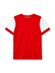Arsenal 2010-11 home jersey Nike front view red white sleeves