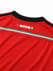Mexico 2014 Away Jersey