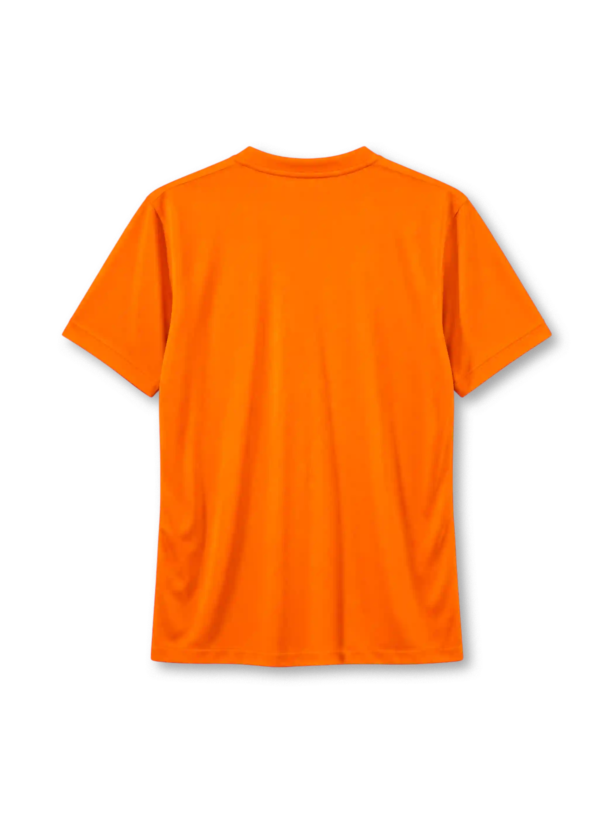 Netherlands 2014 home jersey Nike front view orange lion crest