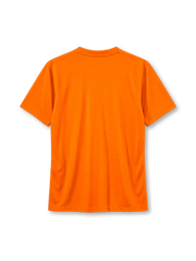 Netherlands 2014 home jersey Nike front view orange lion crest