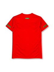Portugal 2010 home jersey Nike front view red green chest band