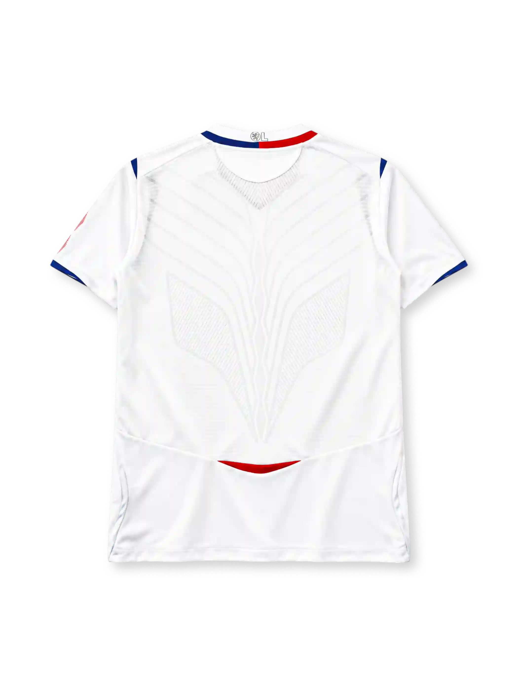 Olympique Lyonnais 2008-09 home jersey, front view, white body with red and blue vertical stripe, Umbro logo, Novotel sponsor logo, club crest