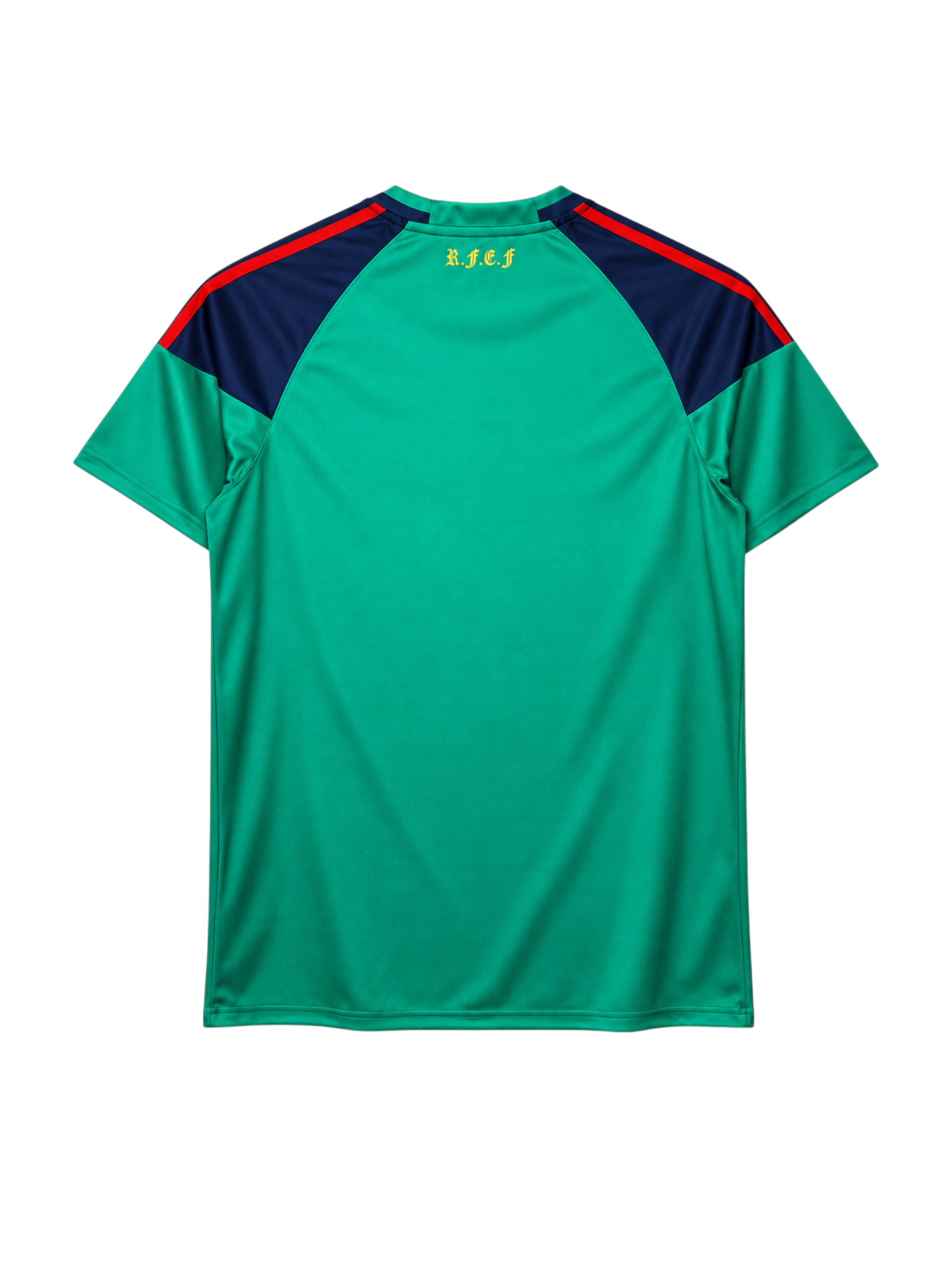 Spain 2010 World Cup goalkeeper jersey, front view, green body with navy yoke, red and yellow sleeve stripes, adidas logo, Spanish federation crest, Campeones del Mundo 2010 collar tape