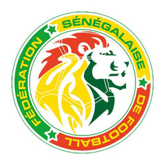 Green defines strength and energy. Senegal National Team｜International Collection logo