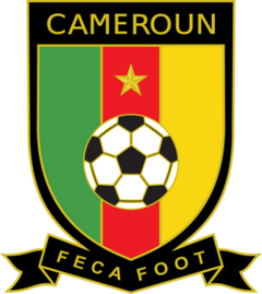 Wear the colors with pride. Cameroon｜National Team Collection logo
