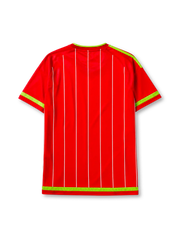 Wales 2015-16 home jersey in red with white pinstripes