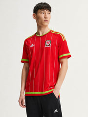 Wales 2015-16 Home Jersey