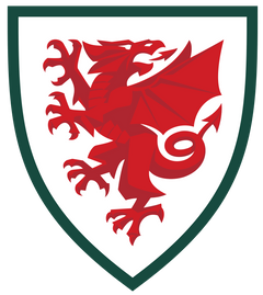 Wear the colors with pride. Wales｜National Team Collection logo