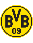 Yellow and black define the identity. Borussia Dortmund｜Bundesliga Collection logo