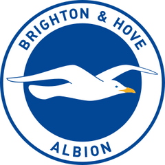 Blue and white by the coast. Brighton & Hove Albion｜Modern Club Collection logo