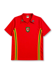 Wales 1976-79 home jersey in red with green and yellow side stripes and dual shoulder badges
