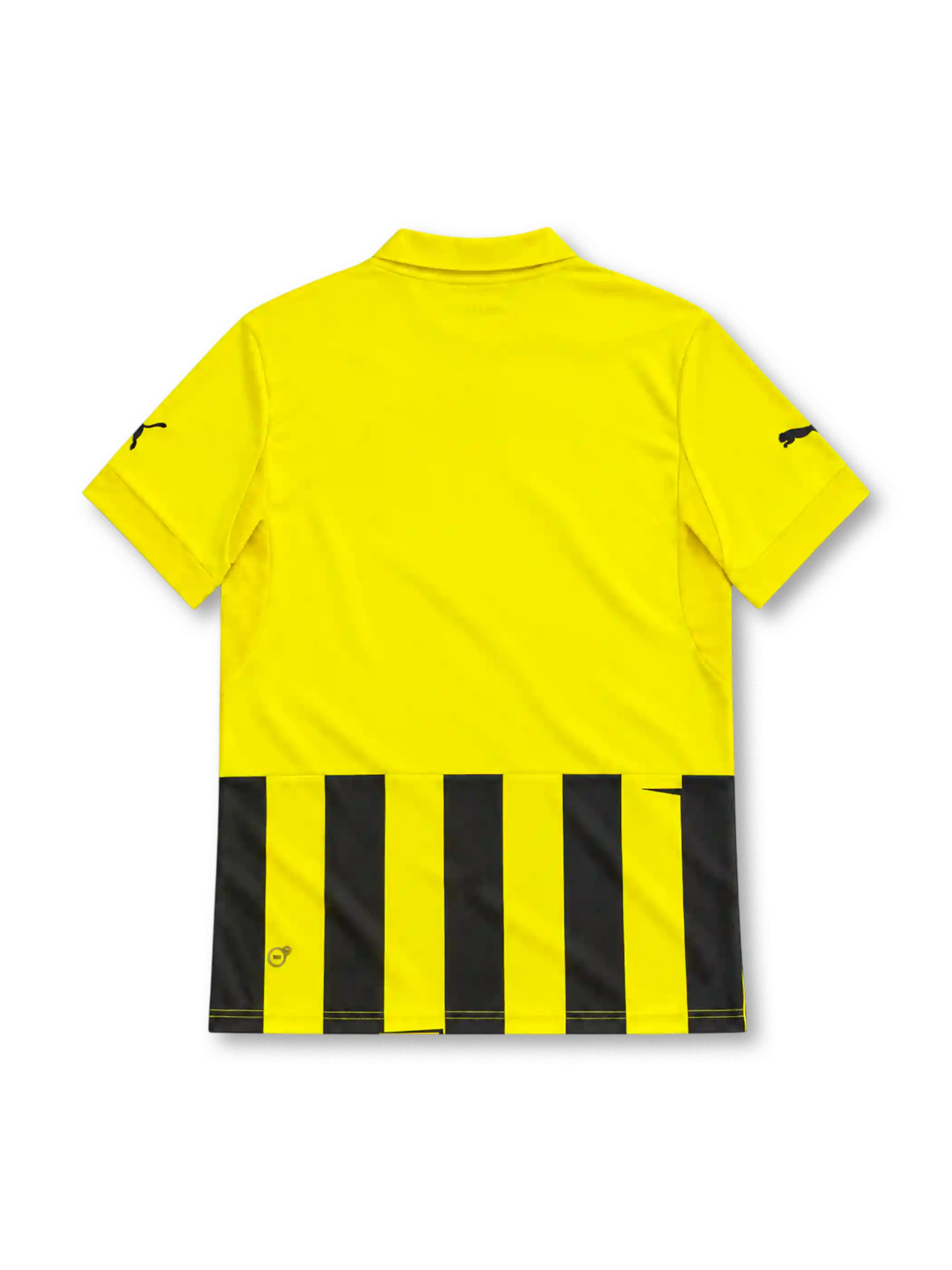 Borussia Dortmund 2012/13 Champions League home jersey with yellow and black vertical stripes, Puma logo, two-star BVB crest and magenta EVONIK sponsor.