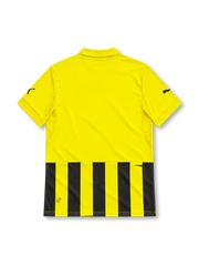 Borussia Dortmund 2012/13 Champions League home jersey with yellow and black vertical stripes, Puma logo, two-star BVB crest and magenta EVONIK sponsor.