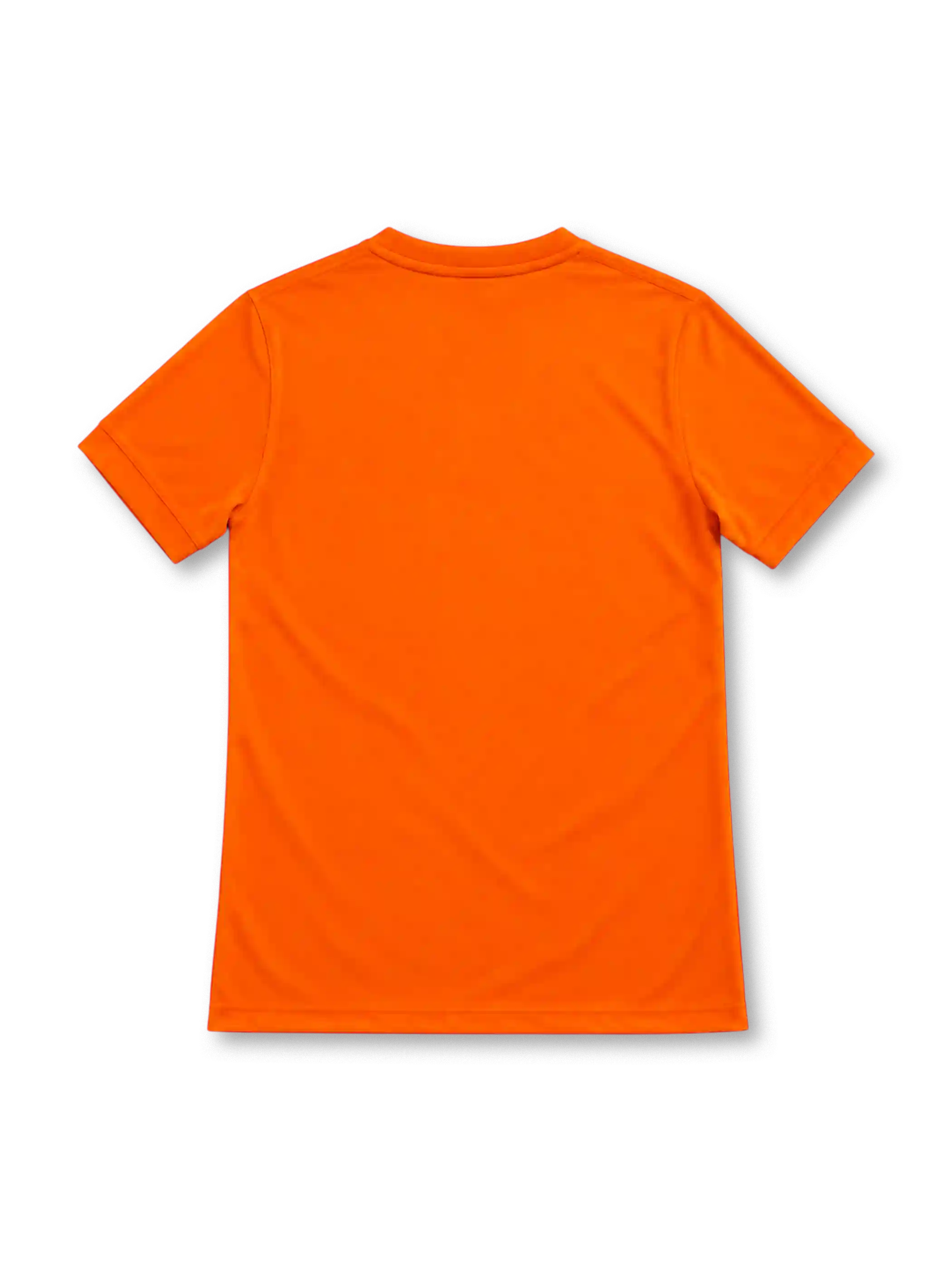 Netherlands 2014 orange Nike home jersey with tonal V-neck collar, white Nike Swoosh, commemorative white lion crest, tricolor inner-neck trim, crown emblem, Dri-FIT branding and Authentic hem label.