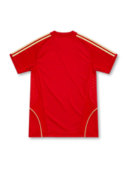 Spain 2008 adidas home jersey in bright red with gold shoulder stripes, gold curved piping, red crew-neck collar, yellow adidas logo, Spanish national crest, and patterned side panels.