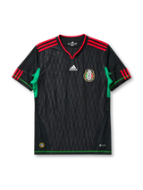 Mexico 2010 World Cup Away Jersey