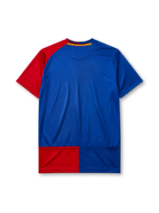 Barcelona 2008-09 Champions League final home jersey, front view, blue and red vertical halves, Nike swoosh, Final Roma 2009 commemorative text, club crest, UNICEF sponsor logo, NikeFIT hem tag