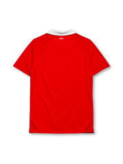 Manchester United 2010-11 home jersey, front view, red body with white shoulder pinstripes, white point collar, Nike swoosh logo, club crest, AON sponsor logo