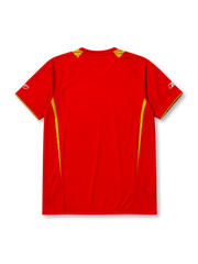 Liverpool 2005-06 home jersey, front view, red body with gold shoulder panels and collar trim, V-neck collar, white Reebok logo, Liverpool crest with five stars, Carlsberg sponsor logo, small winner's patch near bottom hem