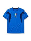 Italy 2006 home jersey, front view, blue body with navy side panels, crew neck collar, gold Puma logos, Italia crest with two stars