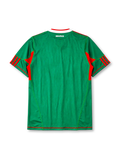 Mexico 2010 home jersey, front view, green body with red side panels, red and white V-neck collar, white adidas logo and stripes, Mexican Football Federation eagle crest, red hem stripe, small adidas and ClimaCool tags