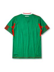 Mexico 2010 home jersey, front view, green body with red side panels, red and white V-neck collar, white adidas logo and stripes, Mexican Football Federation eagle crest, red hem stripe, small adidas and ClimaCool tags