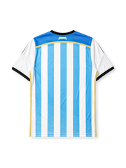 Argentina 2014 home jersey, front view, sky blue and white vertical stripes, black V-neck collar with blue inset, black adidas logo and stripes, AFA crest with two gold stars, gold side piping, climacool wordmark near hem