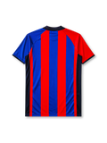 Barcelona 2001-02 home jersey, front view, blue and red vertical stripes, navy raglan sleeves with yellow piping, navy point collar, club crest, Nike swoosh logo