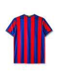 Barcelona 2009-10 home jersey, front view, blue and garnet vertical stripes, yellow-trimmed V-neck collar, white Nike swoosh, Barcelona crest, yellow unicef sponsor logo with globe emblem, yellow cuff trim