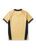 Arsenal 2001-02 away jersey, front view, gold body with navy side panels and red piping, navy V-neck collar, white Nike swoosh, Arsenal shield crest with cannon, navy Sega sponsor logo, navy cuffs