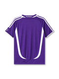 Real Madrid 2006-07 purple away retro football jersey with BenQ Siemens sponsor