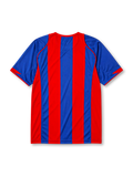 Barcelona 2004-05 home jersey, front view, bold blue and garnet vertical stripes, blue crew-neck collar with red trim, yellow Nike swoosh, Barcelona crest, no shirt sponsor