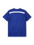 Chelsea 2014-15 home jersey, front view, blue body with tonal navy horizontal stripe pattern, blue crew-neck collar, white adidas logo and stripes, Chelsea crest with lion, white Samsung sponsor logo, climacool wordmark near hem