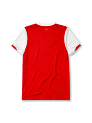Arsenal 2006/07 home football jersey by Nike with Fly Emirates sponsor logo