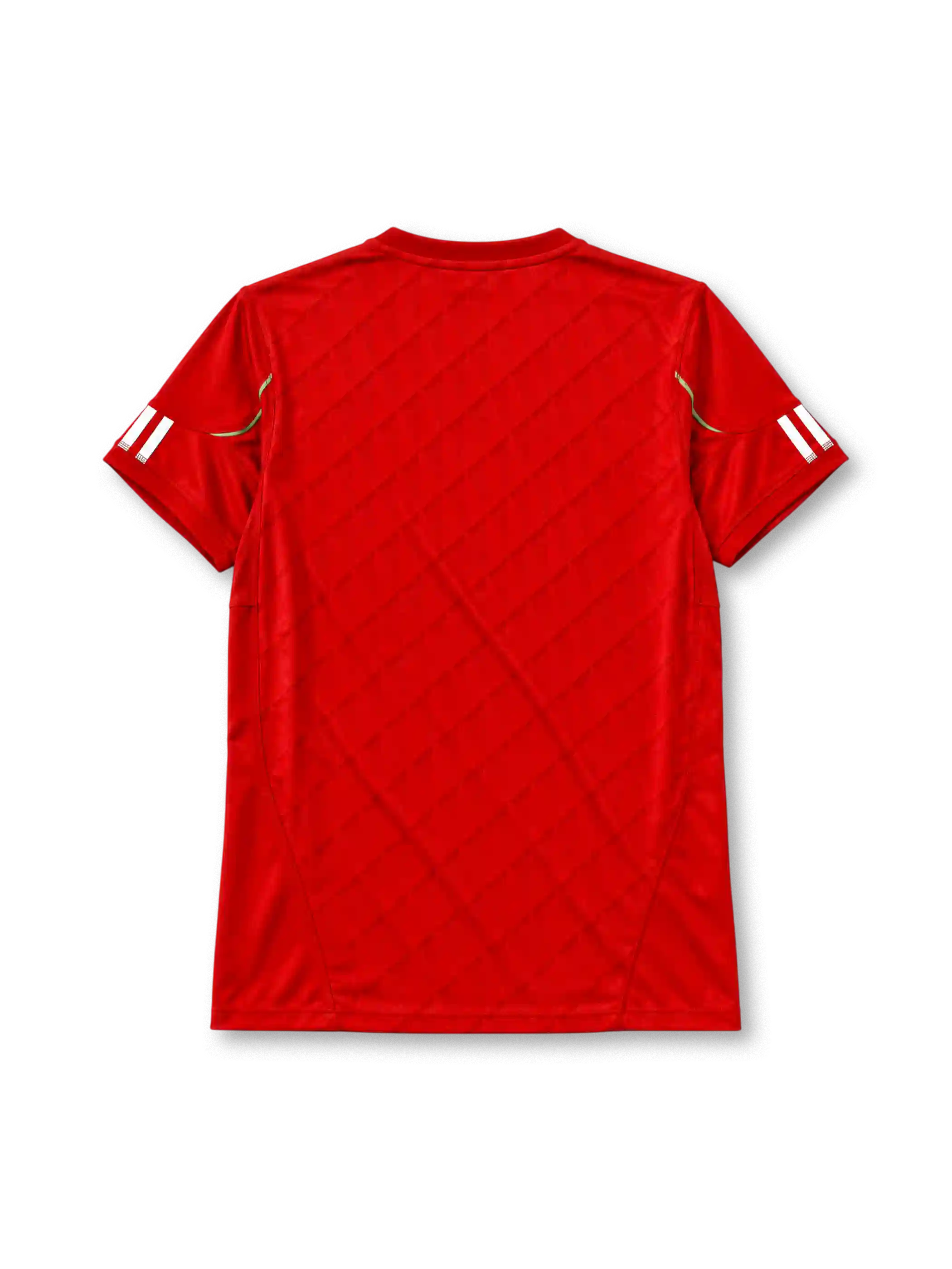 Liverpool 2010/11 home football jersey by Adidas with Standard Chartered sponsor logo