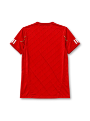 Liverpool 2010/11 home football jersey by Adidas with Standard Chartered sponsor logo