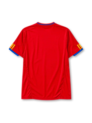 Spain 2010 home football jersey by Adidas from the World Cup kit era
