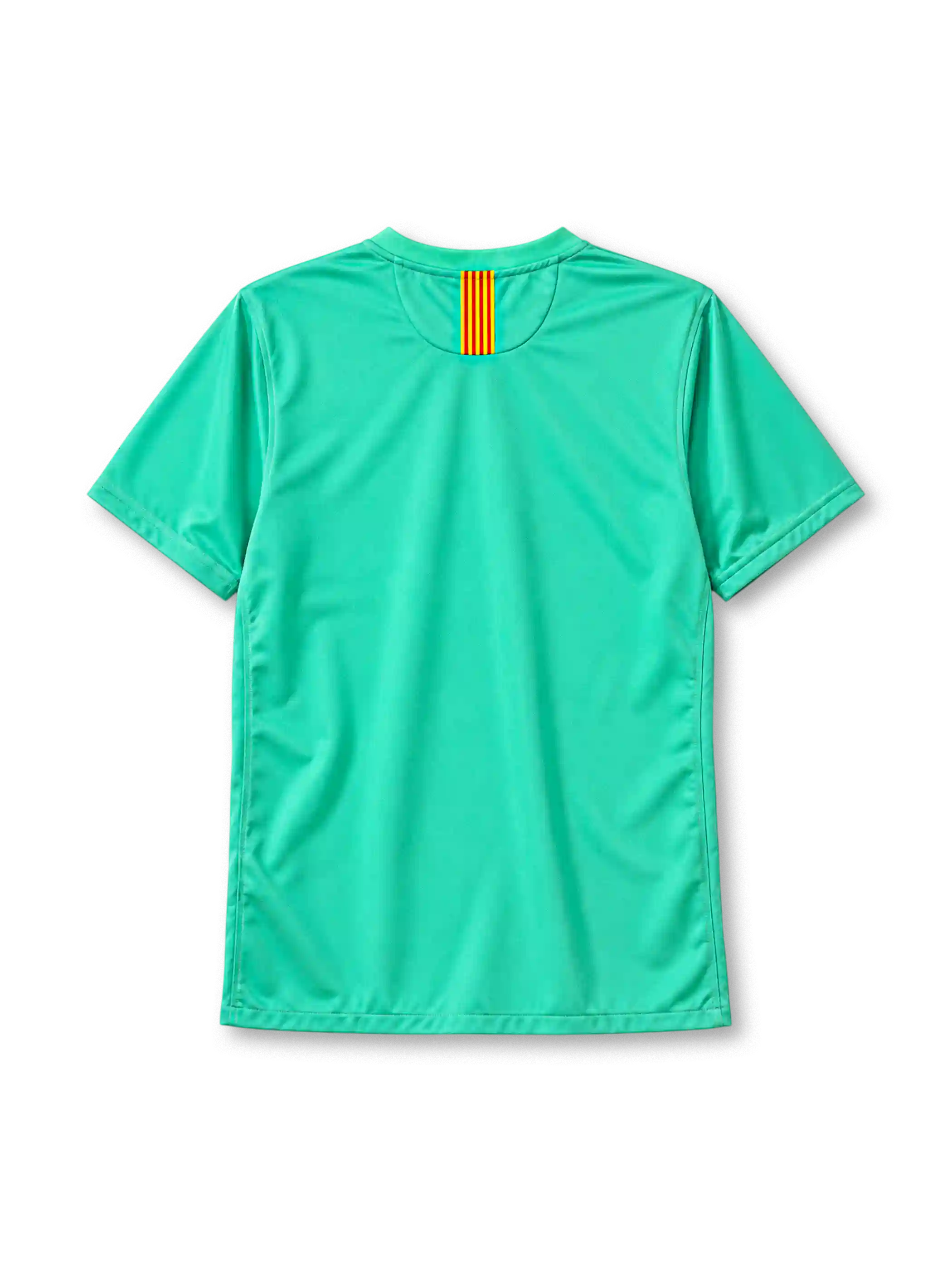 FC Barcelona 2010-11 away jersey Nike front view mint green Unicef