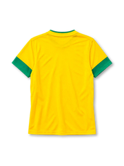 Brazil 2012-13 home jersey Nike front view yellow green collar