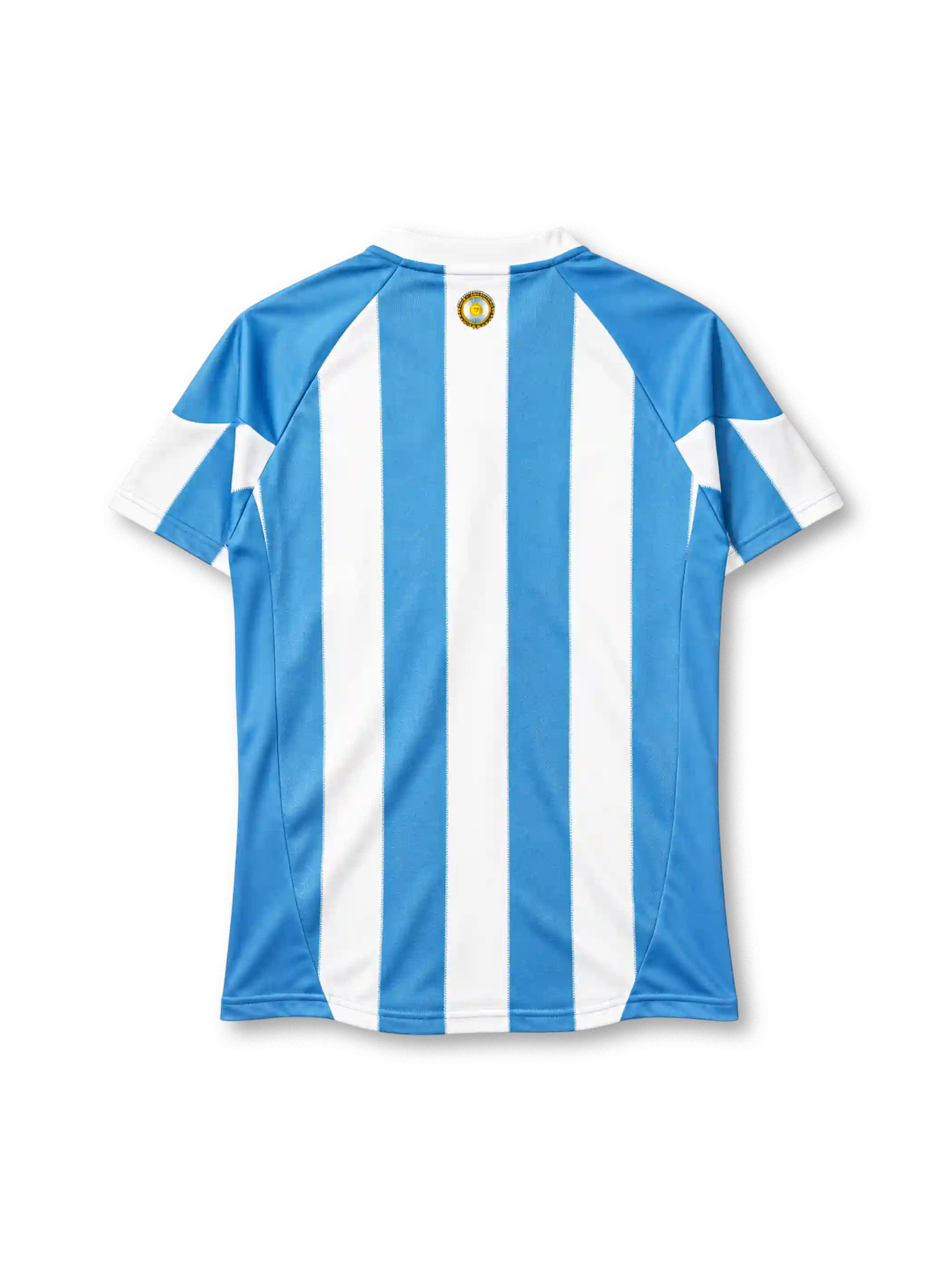 Argentina 2010 home jersey adidas front view light blue white stripes