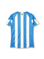 Argentina 2010 home jersey adidas front view light blue white stripes