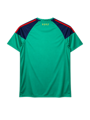 Spain 2010 World Cup goalkeeper jersey, front view, green body with navy yoke, red and yellow sleeve stripes, adidas logo, Spanish federation crest, Campeones del Mundo 2010 collar tape