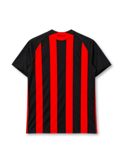 AC Milan 2008-09 home jersey, front view, red and black vertical stripes, black crew neck collar, black sleeves with red three stripes on shoulders, white adidas logo centred on chest, AC Milan crest with gold star on left chest, white BWIN sponsor logo, CLIMACOOL badge at hem