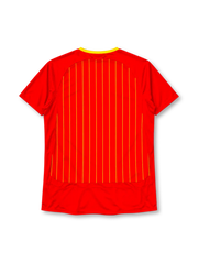 Spain 2006 home jersey, front view, red body with yellow pinstripes, curved yellow piping, red crew neck with yellow trim, three yellow stripes on shoulders and sleeves, yellow adidas logo centred on chest, Spanish Football Federation crest on left chest, circular emblem on left sleeve