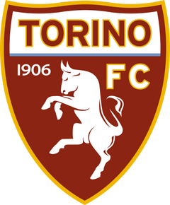 Maroon defines the heritage. Torino FC｜Heritage Collection logo