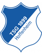 Blue with modern identity. TSG Hoffenheim｜Bundesliga Collection logo
