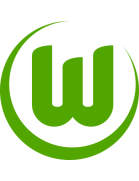 Green and white with modern identity. VfL Wolfsburg｜Bundesliga Collection logo